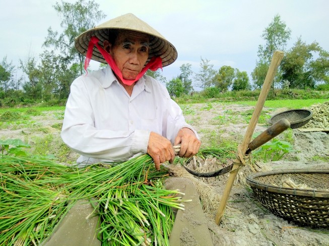 Mùa vui trên đất kiệu