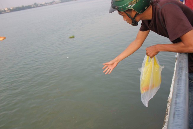Những kiểu 'phóng sinh' bức tử cá chép