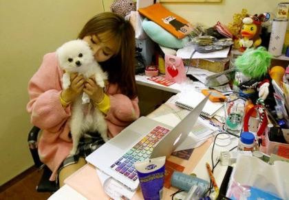 Được phép mang thú cưng đến công sở để... giảm stress