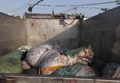 Bắt xe từ trung tâm giết mổ đổ rác 'chui'