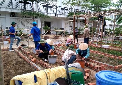 Sinh viên dựng 'vườn rau liệu pháp' tặng bệnh viện
