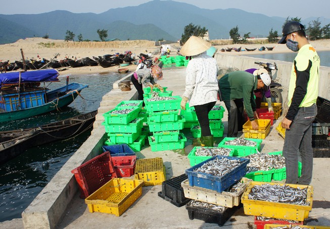 Chấn chỉnh việc cấp gạo hỗ trợ ngư dân tại Hà Tĩnh
