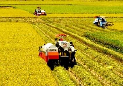 Hơn 2 triệu khách hàng đang được vay vốn giá rẻ