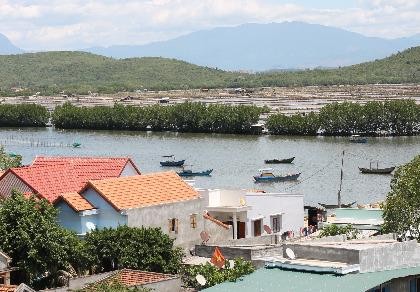 Ngắm rừng đước xanh mướt dọc làng chài vừa được hồi sinh