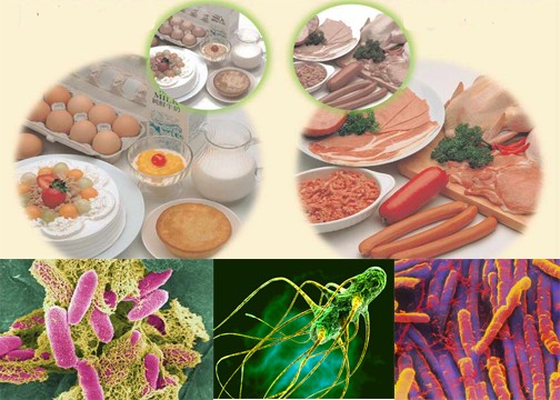 Yên Bái: Hai người chết vì ngộ độc chất làm thuốc diệt chuột