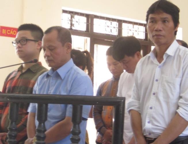 Trùm gỗ Minh 'sâm' tự nhận do hiểu biết pháp luật kém