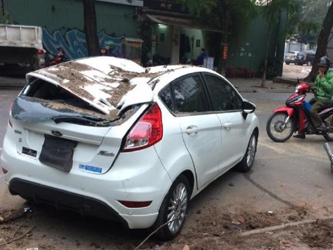 Cây cổ thụ bật gốc, đè bẹp ô tô tại Hà Nội