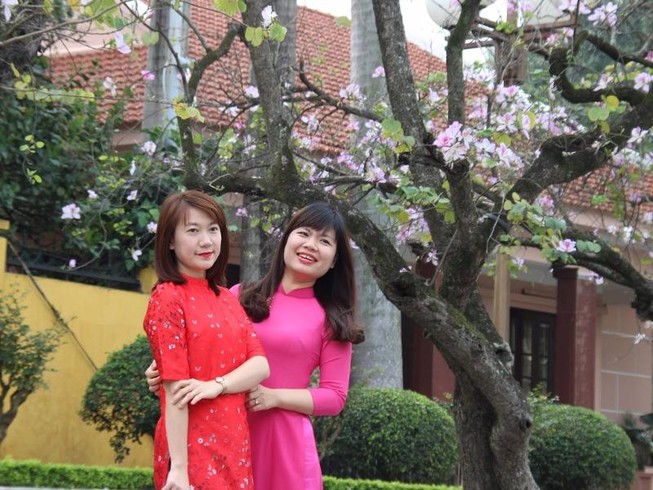 Thiếu nữ Hà thành đẹp mê mẩn bên hoa ban Tây Bắc