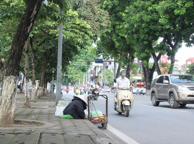 130 cây xanh chuẩn bị “nhường” chỗ cho đường sắt đô thị