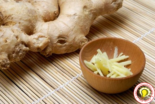 Làm sao để chống say xe hiệu quả?