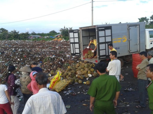 Bắt quả tang một cơ sở dùng hóa chất ép chín sầu riêng