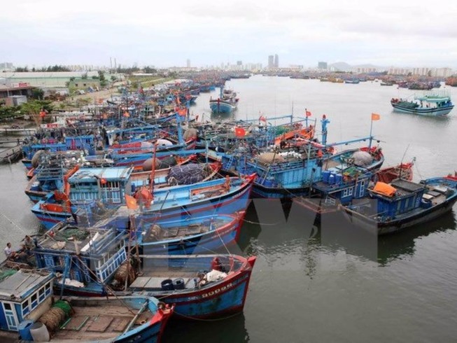Ứng phó với bão số 6 phải ở mức cao nhất