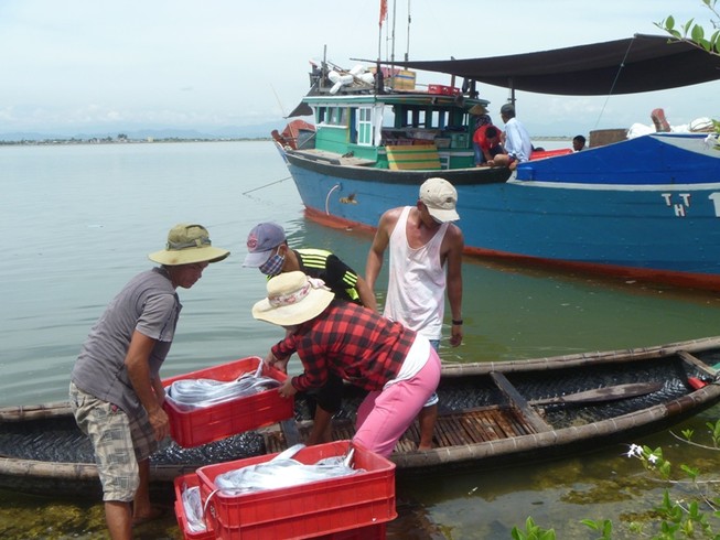 Tuyển chọn 1.300 ngư dân đi Hàn Quốc