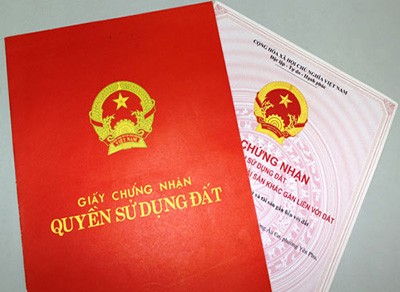 Siết cổ, chích điện bà cụ 82 tuổi cướp ‘sổ đỏ’