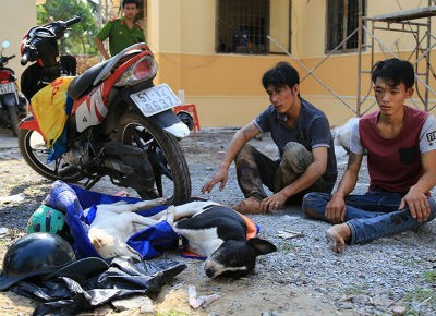'Cẩu tặc' tấn công cảnh sát bằng ớt bột
