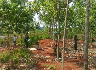 Nghi vấn nam thanh niên bị sát hại trong lô cao su