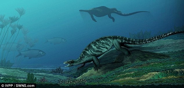 Phát hiện hóa thạch rùa tiền sử khổng lồ ở Trung Quốc - ảnh 3