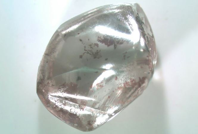 Cụ bà vô tình nhặt được kim cương khủng khi dạo chơi công viên