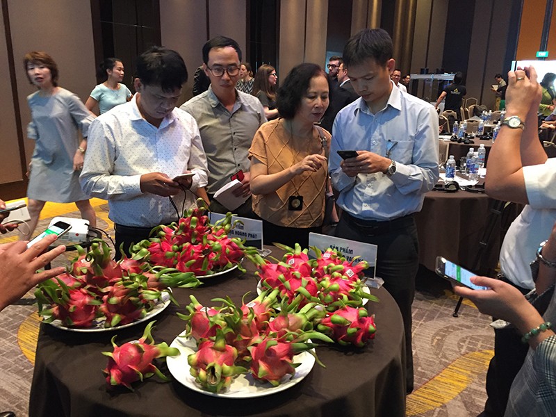 11-thanh-long_ithg.jpg 11-thanh-long_ithg.jpg