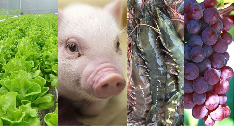 Cây trồng, vật nuôi được Nhà nước hỗ trợ bảo hiểm - ảnh 1