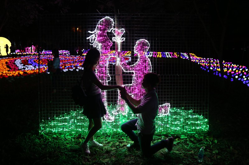 Giới trẻ đổ xô check in khu vườn đèn LED rực rỡ nhất SG - ảnh 8