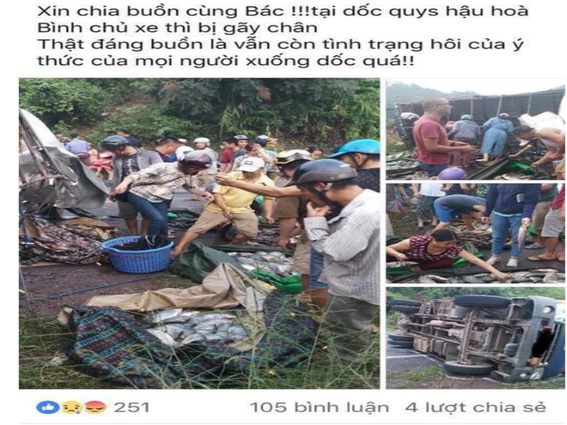 Xe cá bị lật, dân mua lại cá giúp chủ xe bớt thiệt hại