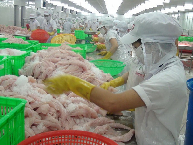 Đề nghị Trung Quốc phối hợp siết chất lượng cá tra - ảnh 1