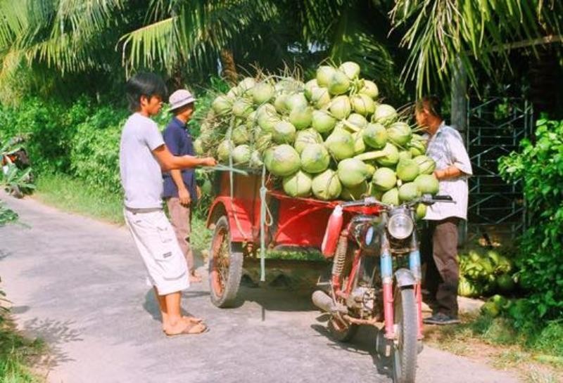 CÃ´ gÃ¡i 'chu du' 30 nÆ°á»c vÃ  'trÃ¡i dá»«a cÆ°á»i' Báº¿n Tre - áº£nh 2