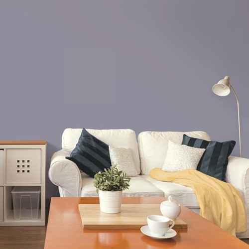 Năm Đinh Dậu nên sơn nhà màu gì để thuận phong thủy? - ảnh 2