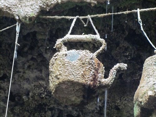 Kỳ lạ: Hang động biến mọi thứ thành đá - ảnh 2