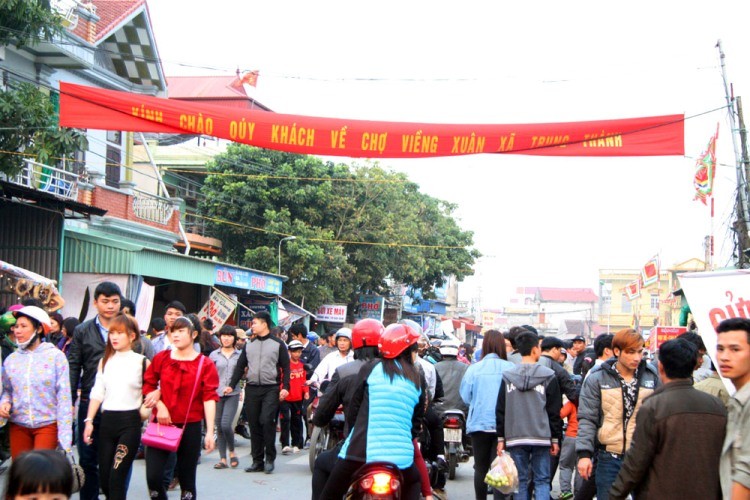 Chợ Viềng: Nghẹt thở đi chợ cầu may - ảnh 3