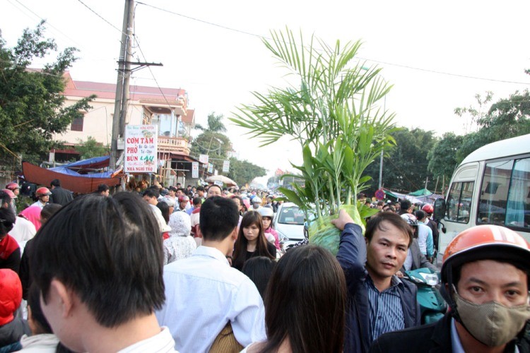 Chợ Viềng: Nghẹt thở đi chợ cầu may - ảnh 7