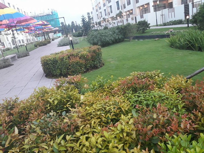 Mở cửa tự do công viên kiểu Nhật Midori Park - ảnh 5