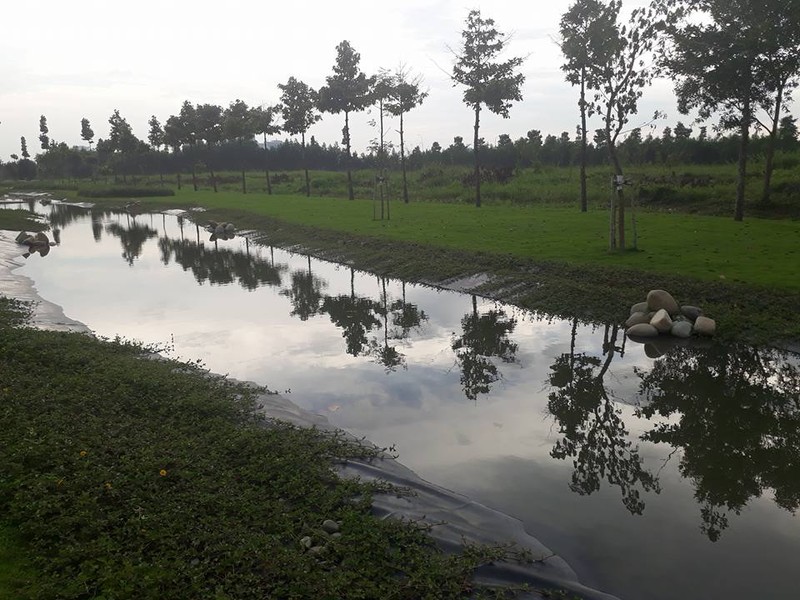 Mở cửa tự do công viên kiểu Nhật Midori Park - ảnh 3