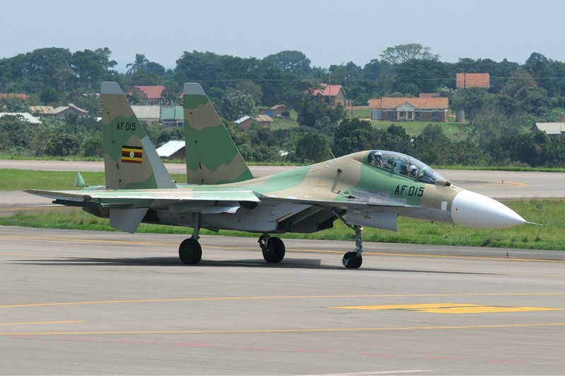 Cận cảnh máy bay Su-30 của Nga - ảnh 2