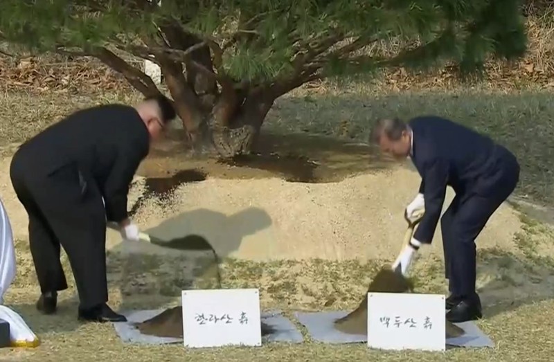 Tổng thống Hàn Quốc Moon Jae-in (phải) bồi đất lấy từ núi Baekdu ở Triều Tiên, và lãnh đạo Triều Tiên Kim Jong-un bồi đất lấy từ núi Halla ở Hàn Quốc vào cây thông mọc từ năm 1953 ở đường phân giới quân sự liên Triều chiều 27-4. Ảnh: REUTERS