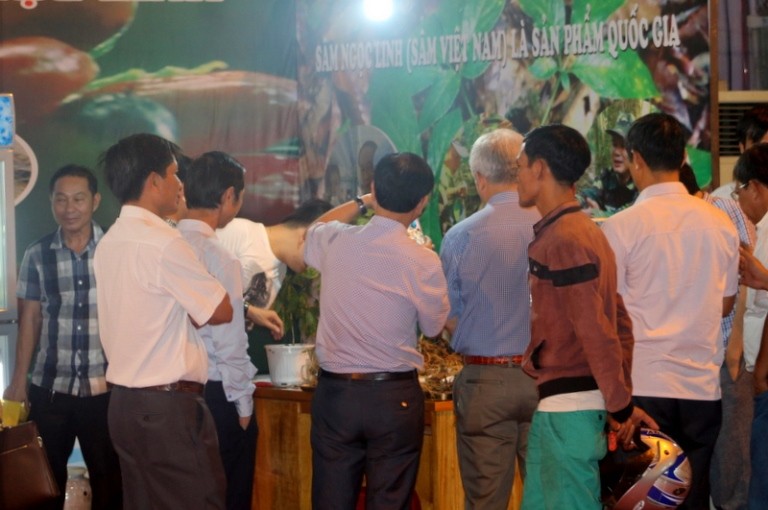 Lễ hội tràn ngập sâm củ Ngọc Linh giá 'khủng' - ảnh 8