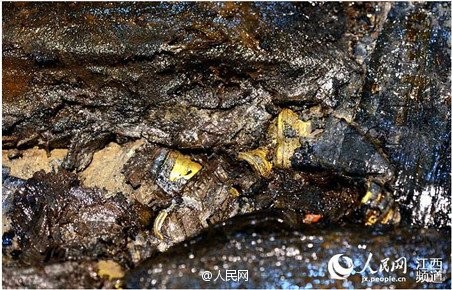 Phát hiện hàng trăm 'bánh vàng' trong mộ cổ hoàng đế bị truất ngôi - ảnh 6