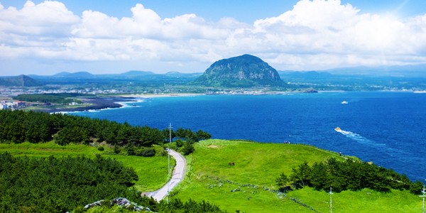 46 du khách Việt Nam mất tích trên đảo Jeju của Hàn Quốc - ảnh 1
