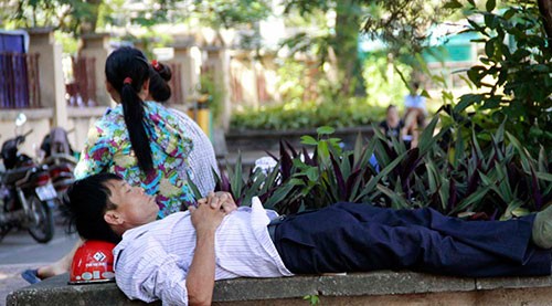 Đưa con đi thi, phụ huynh chật vật tìm chỗ trốn cái nắng 40 độ - ảnh 10