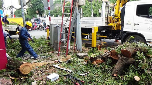 Ùn ứ đường do cây cổ thụ bật gốc - ảnh 1