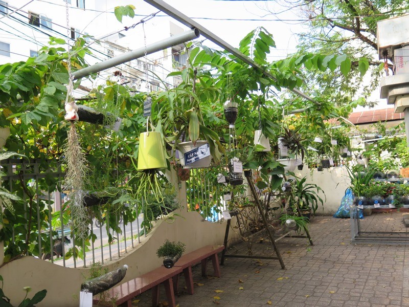 Lạ mắt vườn cây từ vật dụng tái chế của học sinh lớp 8 - ảnh 10