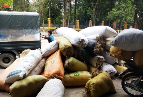 Thêm mặt hàng lạ thương lái Trung Quốc mua gom giá cao: Rêu đá - ảnh 2