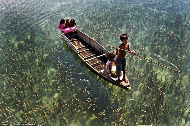 Khám phá cuộc sống như ở xứ sở thần tiên của người Bajau - ảnh 9
