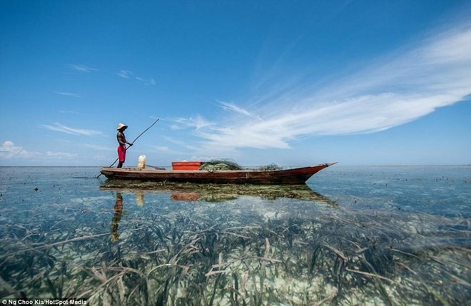Khám phá cuộc sống như ở xứ sở thần tiên của người Bajau - ảnh 16