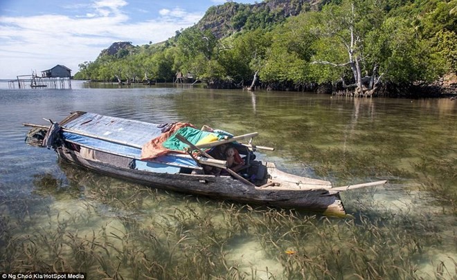 Khám phá cuộc sống như ở xứ sở thần tiên của người Bajau - ảnh 19