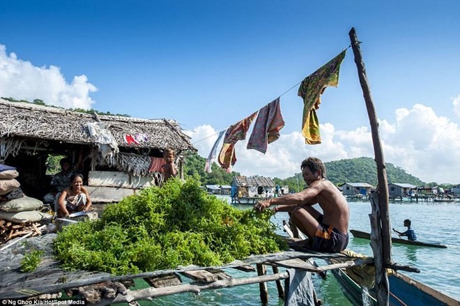 Khám phá cuộc sống như ở xứ sở thần tiên của người Bajau - ảnh 6