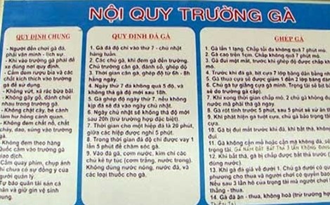 Phá “thủ phủ đá gà” gây chấn động giới cá cược cả nước - ảnh 3