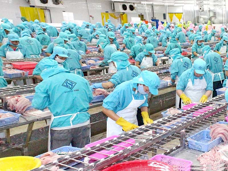 Định hướng chiến lược đối với quy hoạch vùng ĐBSCL dựa trên hai trụ cột kinh tế chính là nông nghiệp và thủy sản. Ảnh: TD