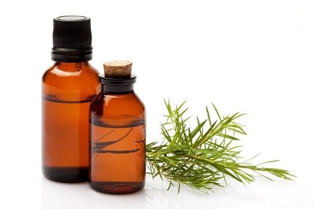 5 cách giúp lành nhanh vết thương từ tự nhiên - ảnh 2